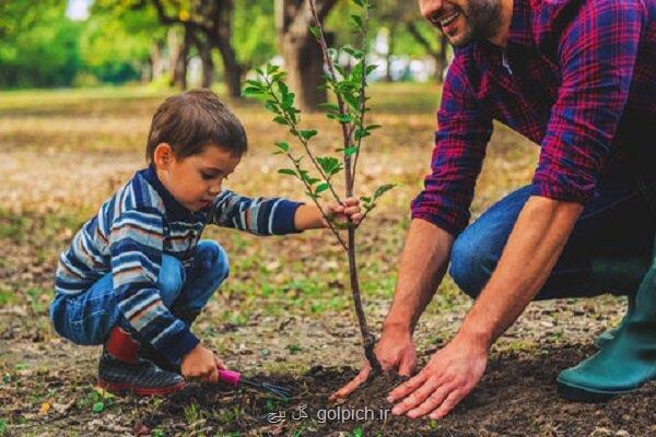 گامهای بزرگ جهت راه اندازی نهالستان